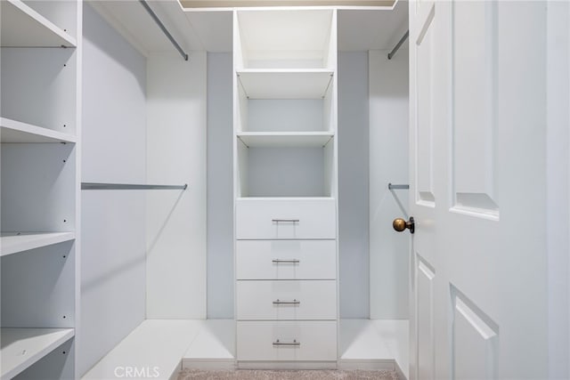 view of walk in closet