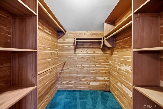 4254 Miramonte Pl, Riverside, CA 92501 - spacious closet with carpet floors