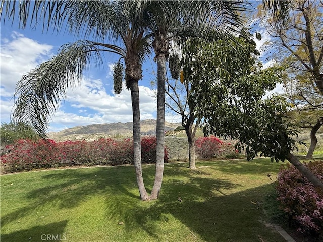 375 Central Ave Unit 12, Riverside, CA 92507 - view of green lawn featuring a mountain view