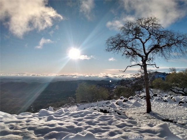 mountain view