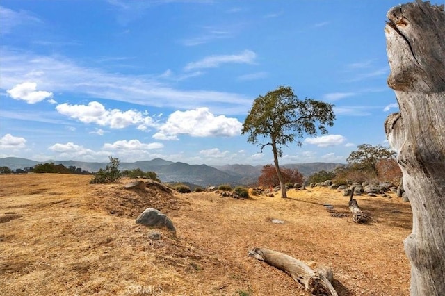 mountain view