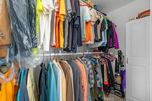 view of spacious closet