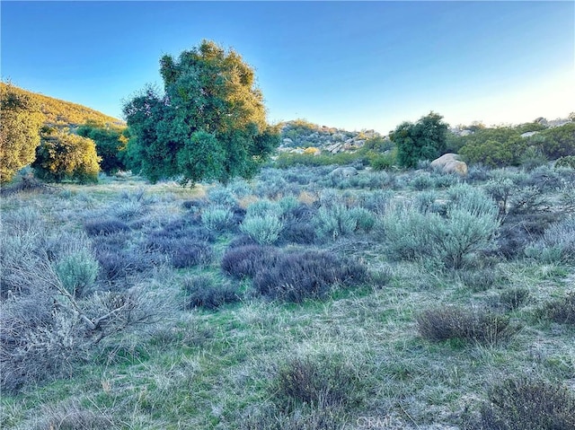 29343 Chihuahua Valley Rd, Warner Springs, CA 92086 - photo 30
