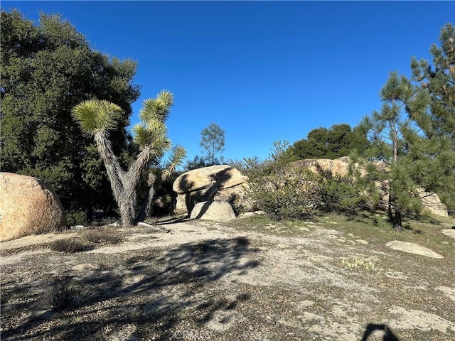 29343 Chihuahua Valley Rd, Warner Springs, CA 92086 - photo 20