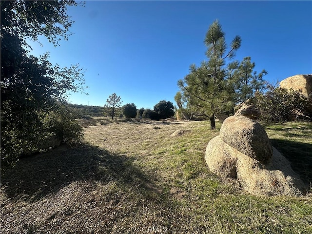 29343 Chihuahua Valley Rd, Warner Springs, CA 92086 - photo 18