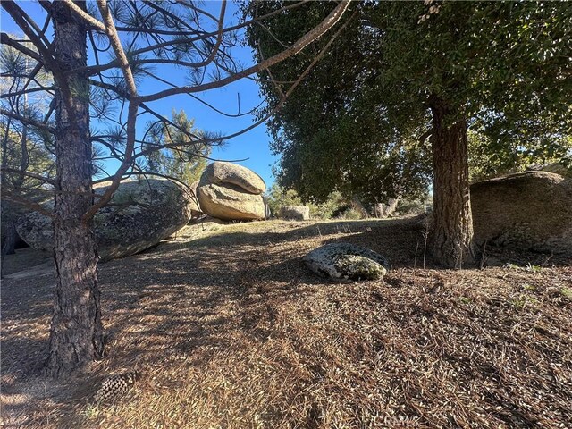 29343 Chihuahua Valley Rd, Warner Springs, CA 92086 - photo 19