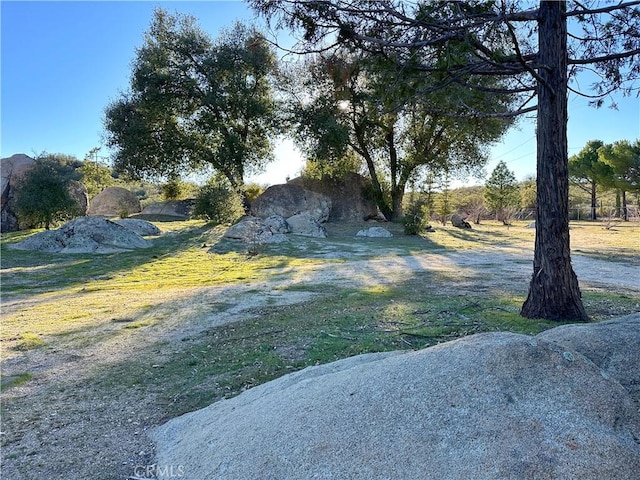 29343 Chihuahua Valley Rd, Warner Springs, CA 92086 - photo 36