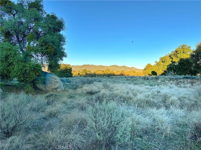 29343 Chihuahua Valley Rd, Warner Springs, CA 92086 - photo 25