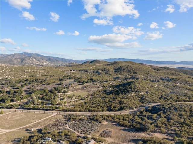 29343 Chihuahua Valley Rd, Warner Springs, CA 92086 - photo 44