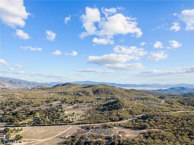 29343 Chihuahua Valley Rd, Warner Springs, CA 92086 - photo 43