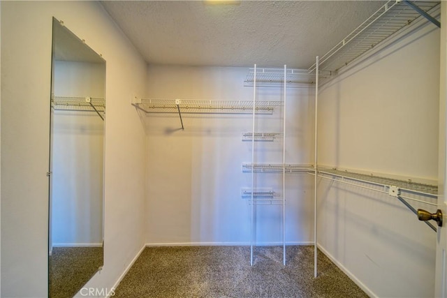 201 Calle Miramar Unit 16, Redondo Beach, CA 90277 - walk in closet featuring carpet