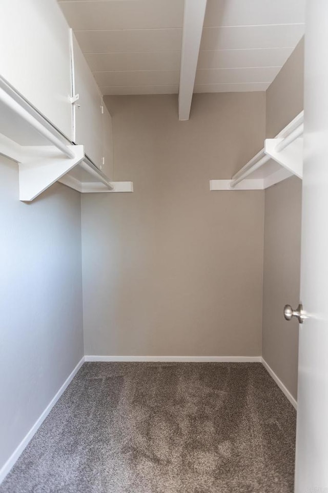 walk in closet with beamed ceiling and carpet