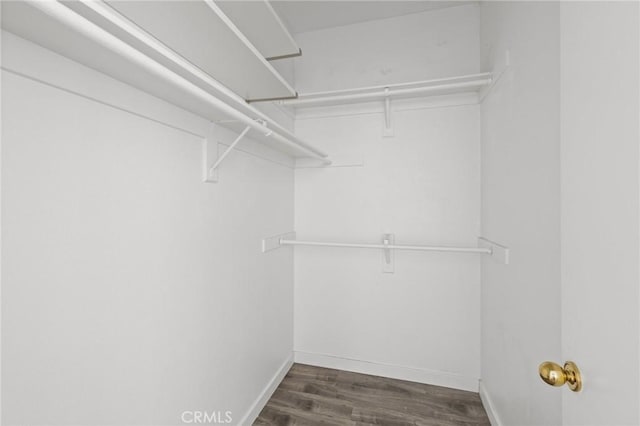 spacious closet featuring wood finished floors