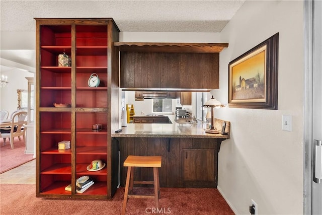 interior space with a sink, under cabinet range hood, carpet, and a textured ceiling