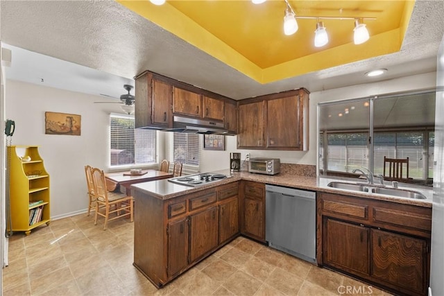 kitchen featuring under cabinet range hood, a tray ceiling, a sink, and appliances with stainless steel finishes