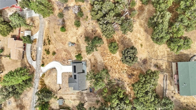 43179 E Sugar Pine Dr, Oakhurst, CA 93644 - aerial view