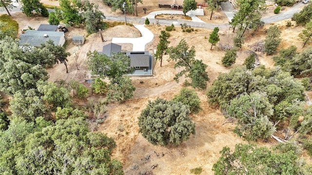 43179 E Sugar Pine Dr, Oakhurst, CA 93644 - drone / aerial view
