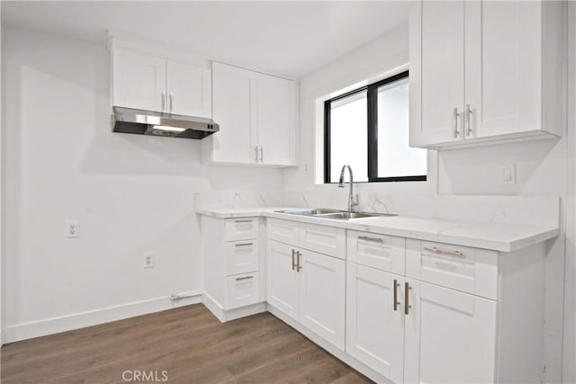 2619 Alice St, Los Angeles, CA 90065 - kitchen with a sink, white cabinetry, under cabinet range hood, baseboards, and dark wood-type flooring