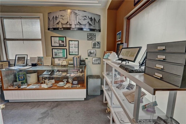 office with carpet flooring