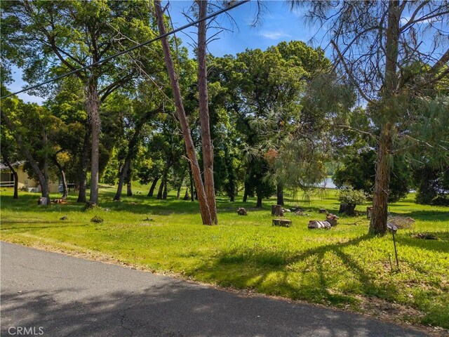 2748 Buckingham Dr, Kelseyville, CA 95451 - photo 15