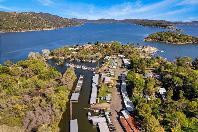 2748 Buckingham Dr, Kelseyville, CA 95451 - photo 26