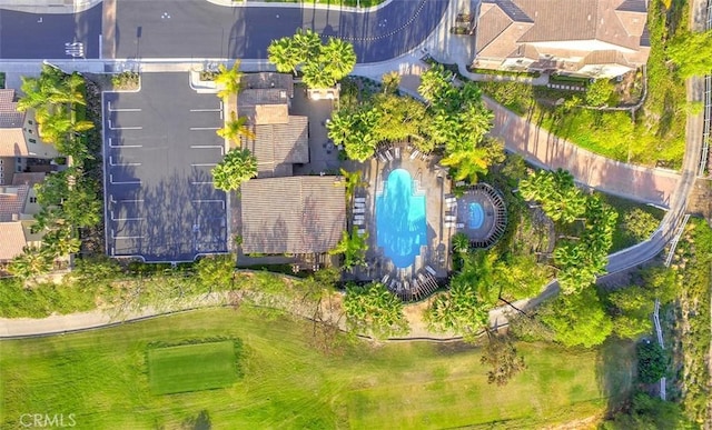 drone / aerial view