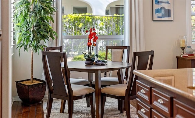 dining room featuring wood finished floors