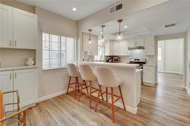 kitchen with stainless steel range with electric cooktop, baseboards, under cabinet range hood, and visible vents