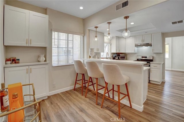 kitchen featuring visible vents, electric range, baseboards, a kitchen bar, and under cabinet range hood