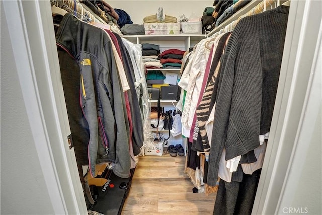 walk in closet featuring wood finished floors