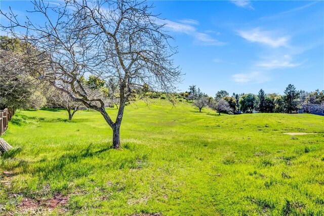 10621 Point Lakeview Rd, Kelseyville, CA 95451 - photo 33