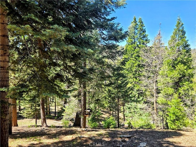 view of nature with a view of trees