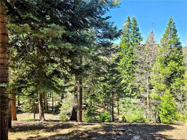 628 Rose Ln, Twin Peaks, CA 92391 - view of local wilderness with a wooded view