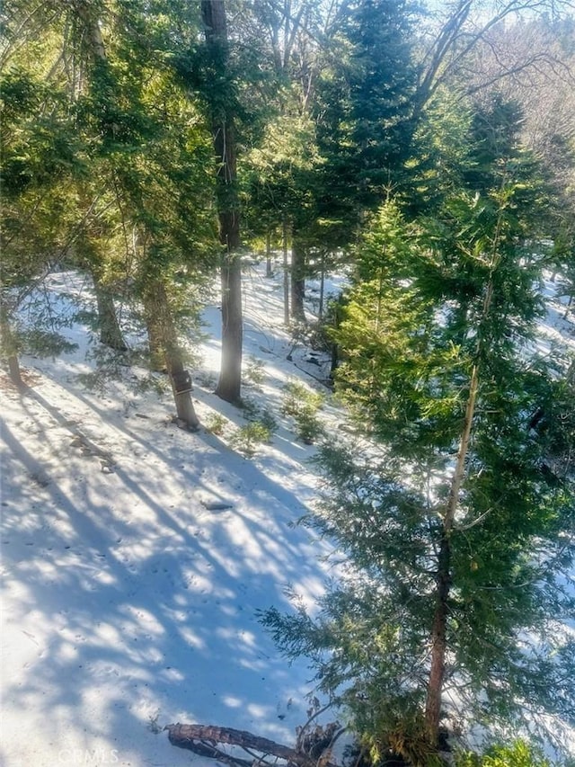 628 Rose Ln, Twin Peaks, CA 92391 - property view of water
