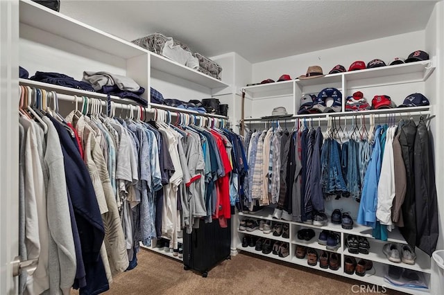 3274 Rural Ln, Corona, CA 92882 - walk in closet featuring carpet flooring