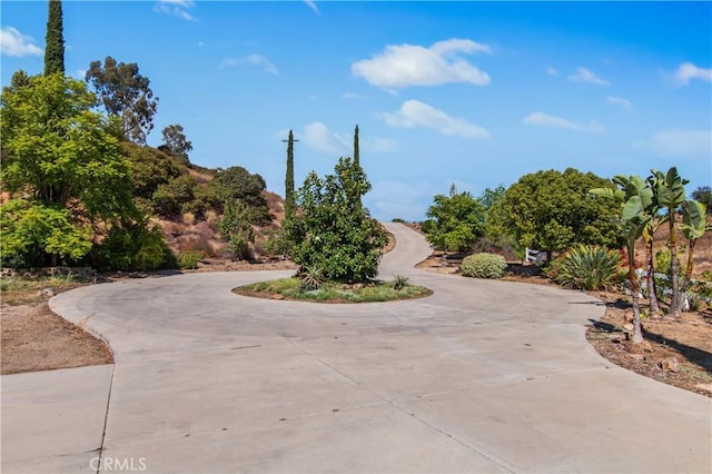 view of community with curved driveway