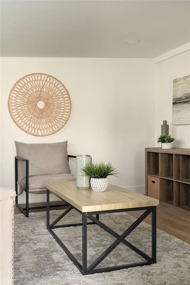 living area with wood finished floors