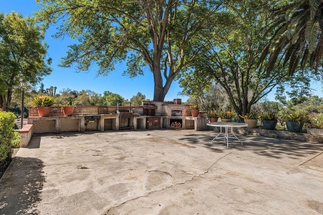view of patio / terrace with an outdoor kitchen