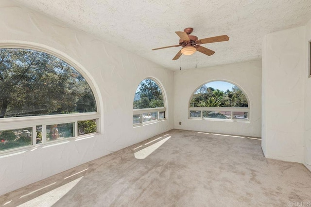 spare room featuring a ceiling fan, carpet flooring, and a textured ceiling