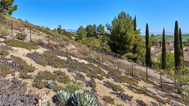 1135 Summitridge Dr, Diamond Bar, CA 91765 - view of nature