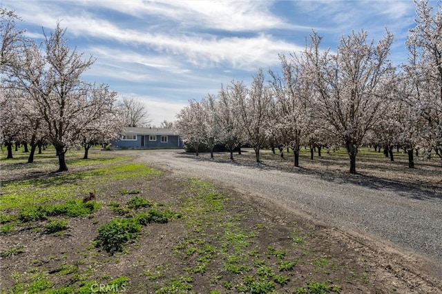 2737 House Ave, Durham, CA 95938 - photo 6