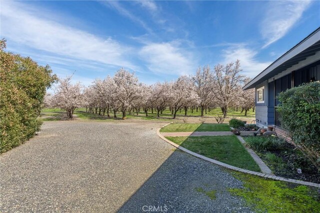 2737 House Ave, Durham, CA 95938 - photo 4
