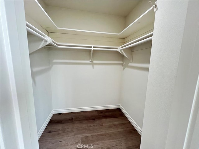 walk in closet featuring wood finished floors