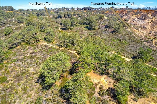 drone / aerial view
