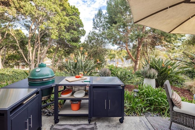 7031 Estrella De Mar Rd, Carlsbad, CA 92009 - view of patio