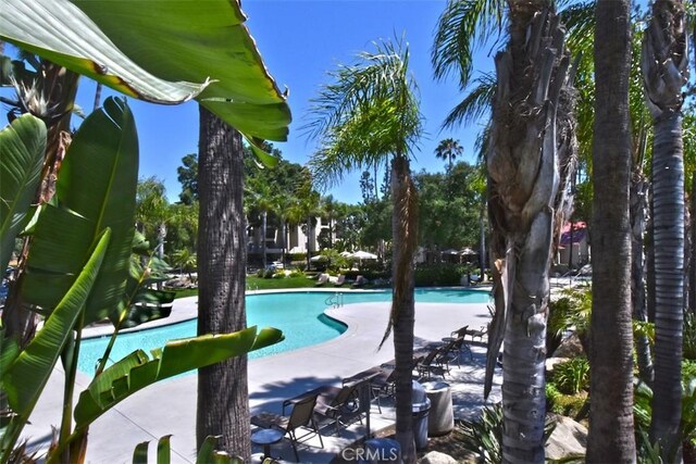 5525 Canoga Ave Unit 318, Woodland Hills, CA 91367 - photo 23