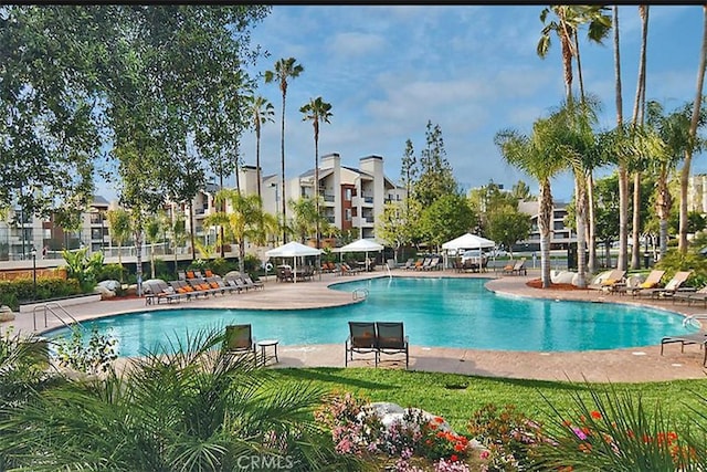 5525 Canoga Ave Unit 318, Woodland Hills, CA 91367 - photo 2