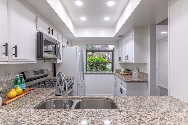 kitchen featuring light stone counters, white cabinets, a tray ceiling, stainless steel appliances, and a sink