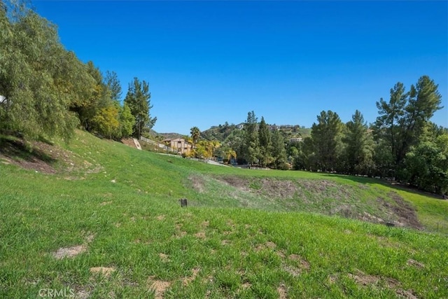 10 Stagecoach Rd, Bell Canyon, CA 91307 - view of yard