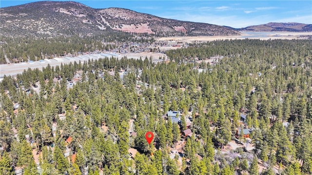 313 Sugarloaf Blvd, Big Bear City, CA 92314 - photo 45